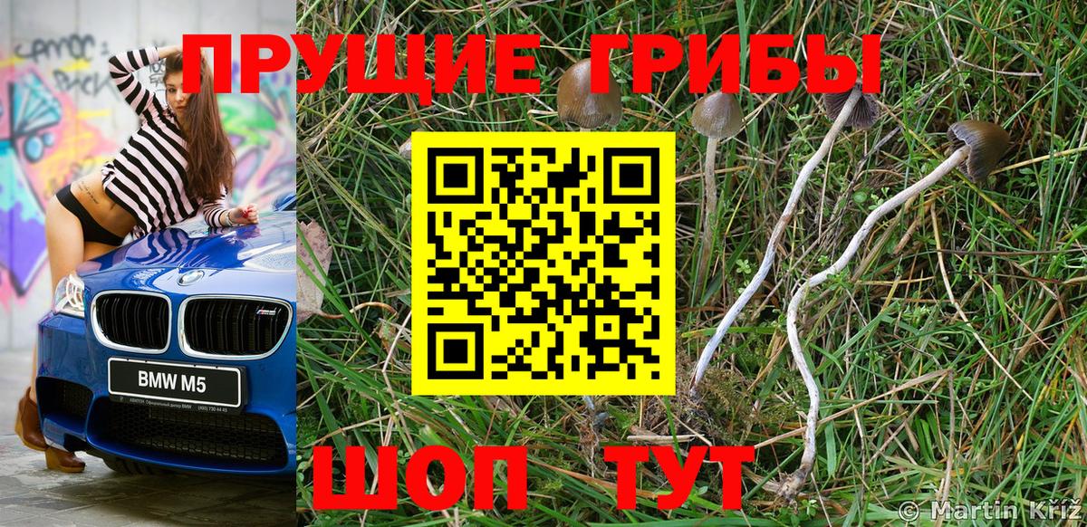 Псилоцибиновые грибы мухоморы  Галлюциногенные грибы ЛСД  Вход с VPN  Буйнакск 