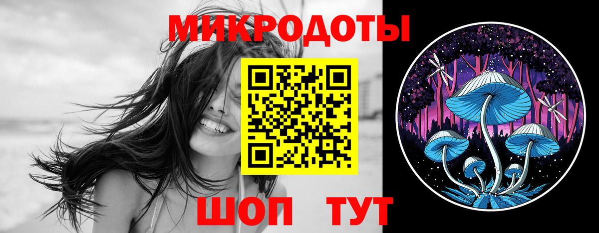 Галлюциногенные грибы Cubensis Буйнакск